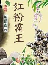 紅粉霸王