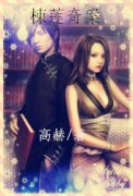 棟蓮奇案