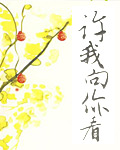 許我向你看