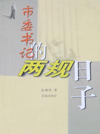 市委書記的兩規日子